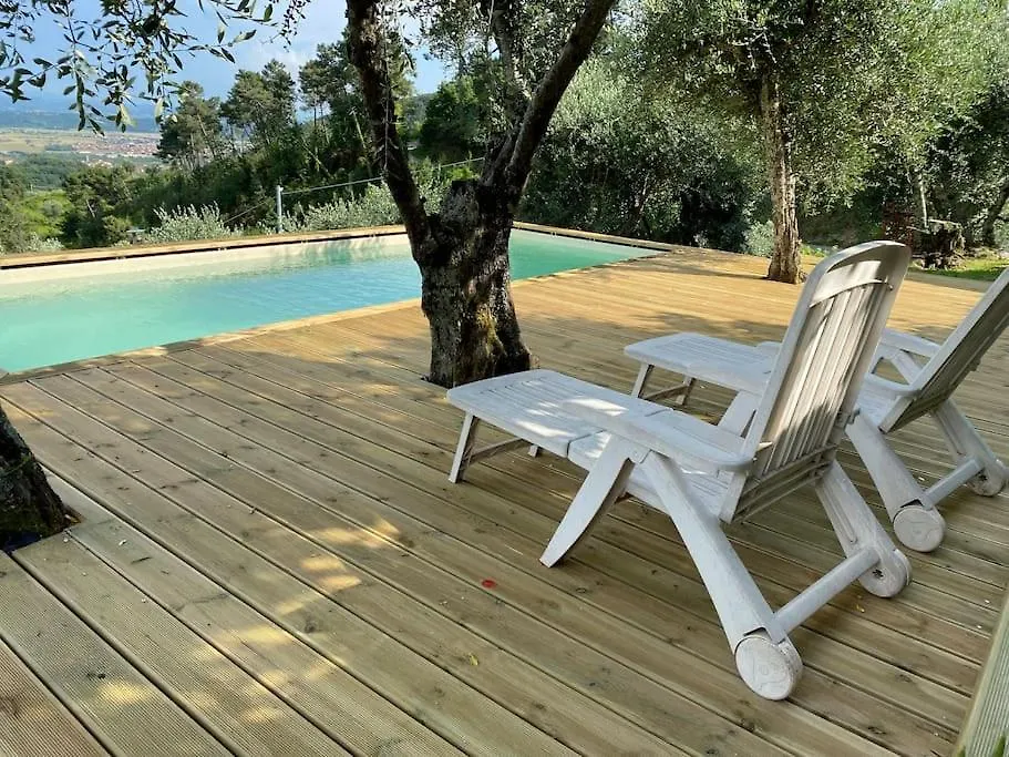 Rivolta Home Buti