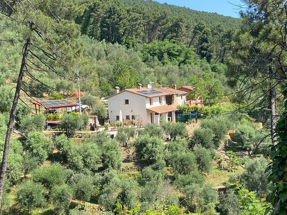 Rivolta Home location